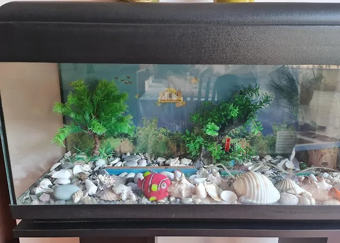 公寓 The Bloom Veranda - Elegant Center Retreat 地拉那