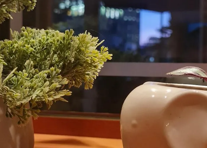 公寓 The Bloom Veranda - Elegant Center Retreat *