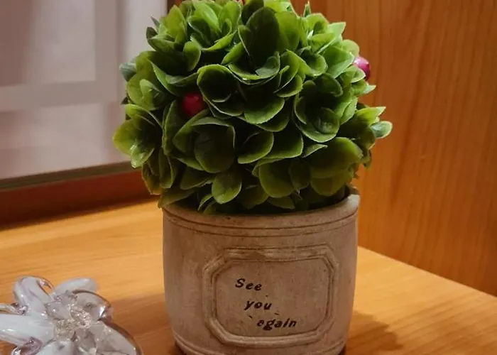 The Bloom Veranda - Elegant Center Retreat 公寓 地拉那