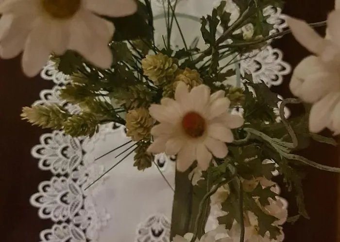 The Bloom Veranda - Elegant Center Retreat