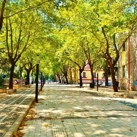 The Bloom Veranda - Elegant Center Retreat Appartement *