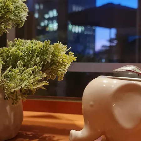 アパート The Bloom Veranda - Elegant Center Retreat *