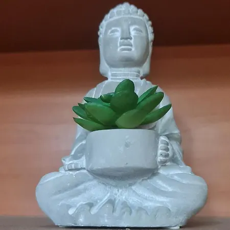 The Bloom Veranda - Elegant Center Retreat *