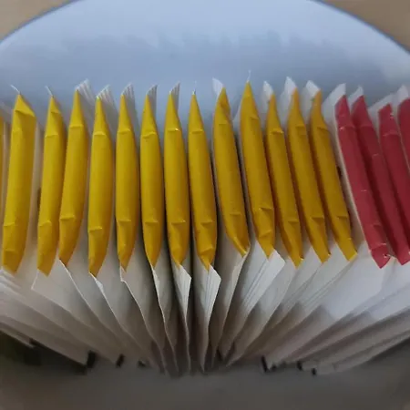 The Bloom Veranda - Elegant Center Retreat Appartement