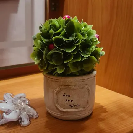 The Bloom Veranda - Elegant Center Retreat Daire Tiran