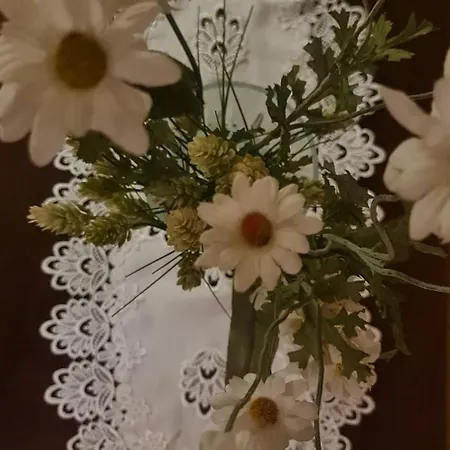 The Bloom Veranda - Elegant Center Retreat